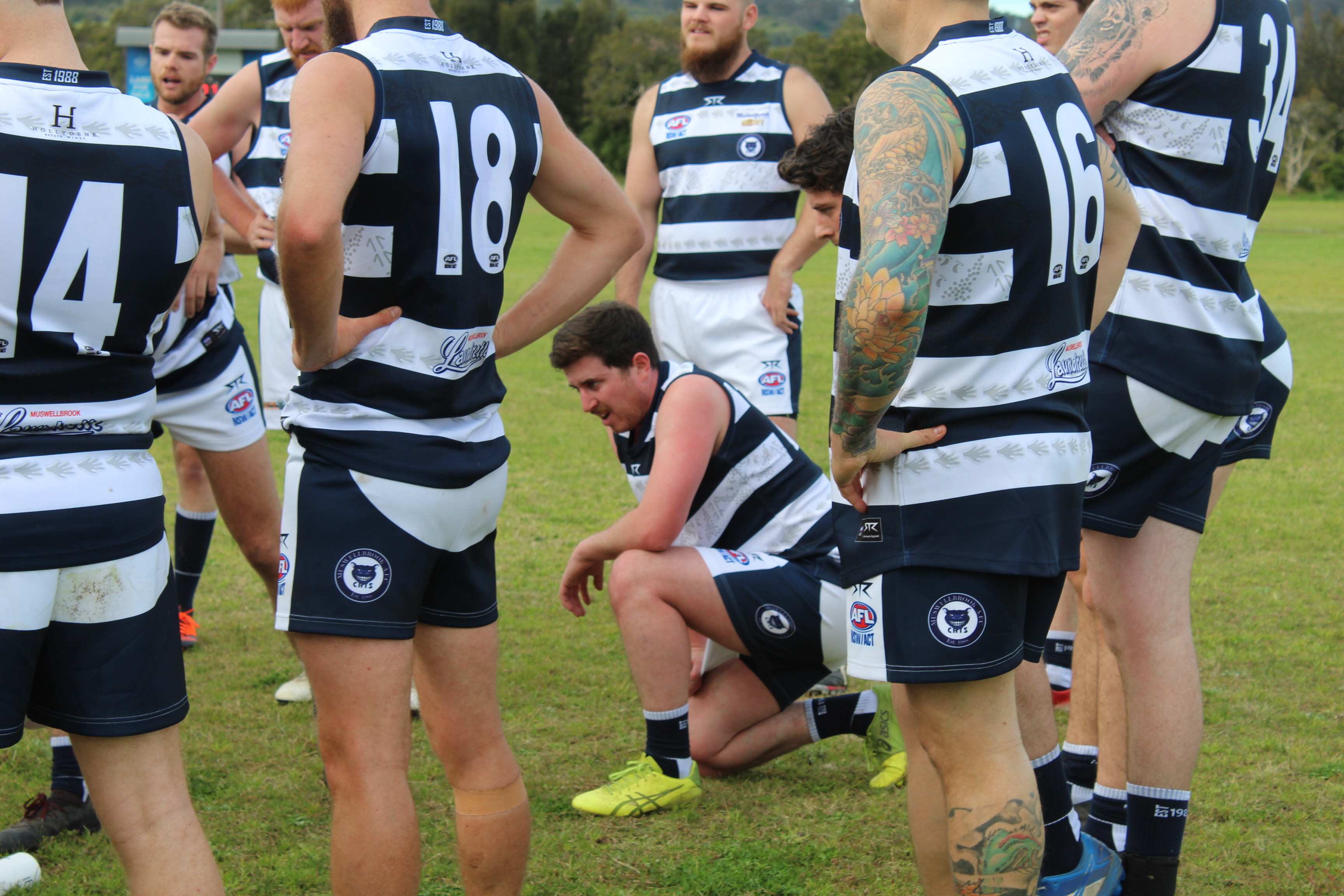 Muswellbrook Cats pull the pin on 2020 season