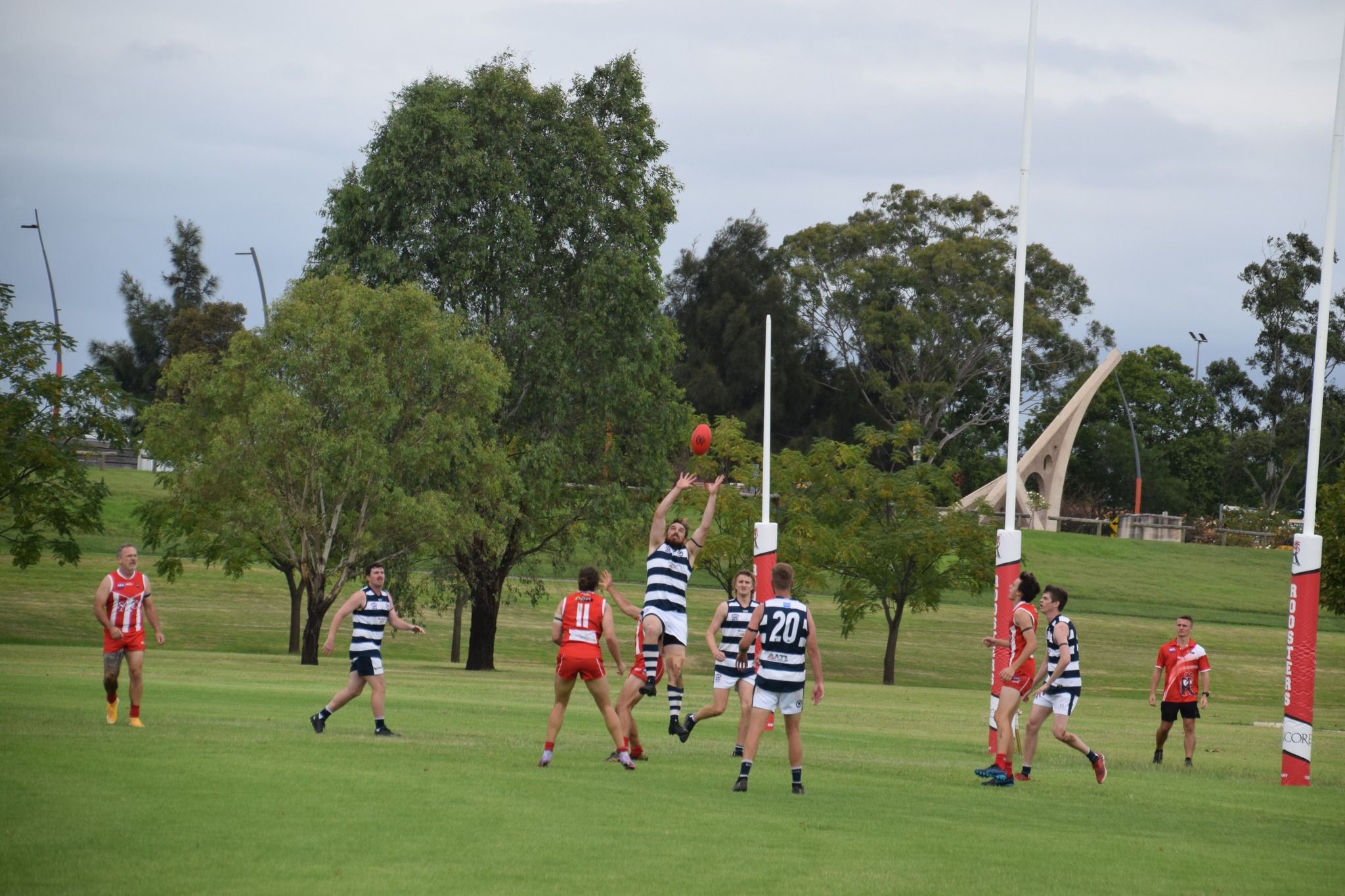Cats unstoppable in Shield competition