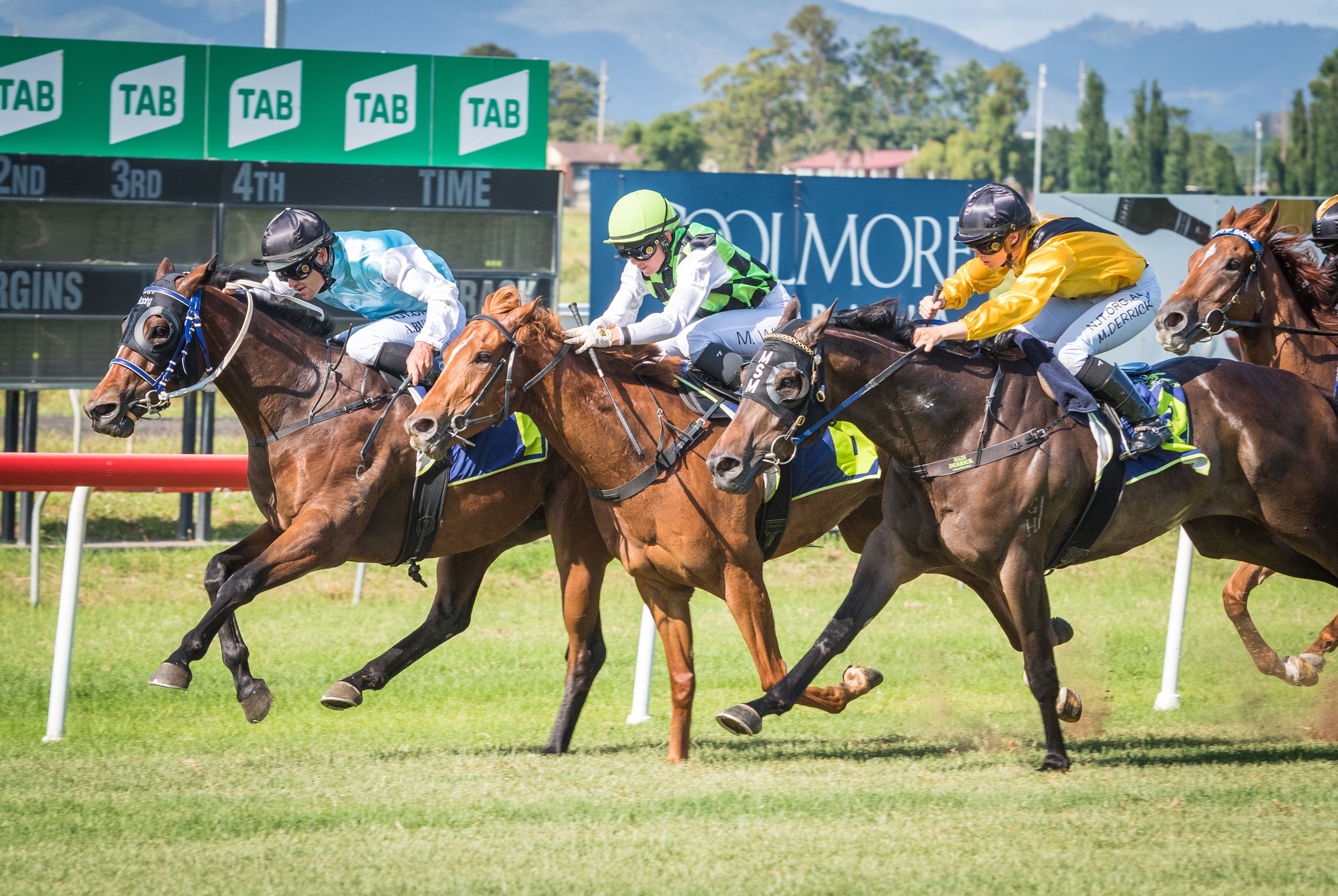 Get Trackside for Melbourne Cup at Muswellbrook Race Club